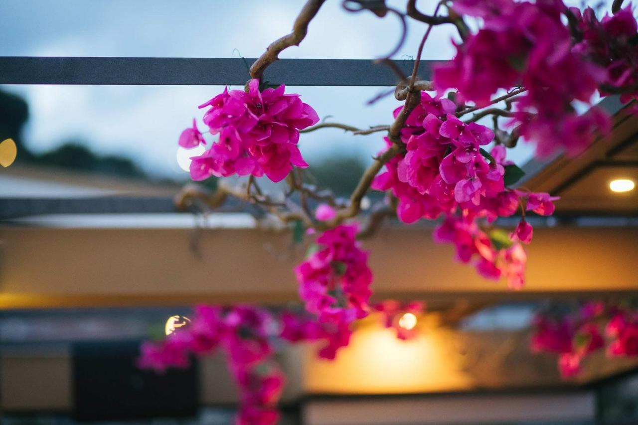 Hotel Amaryllis Nafpaktos Exteriér fotografie